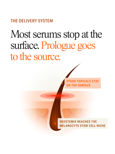 The Serum package V3