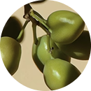 Neostemix