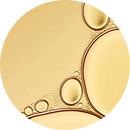 PTP-20